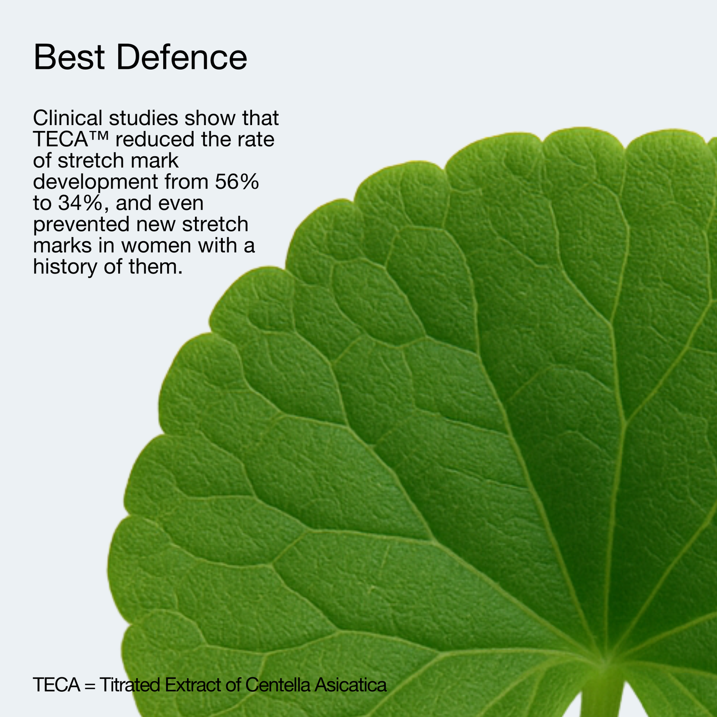 Collagen X Stretch Mark Defence Oil