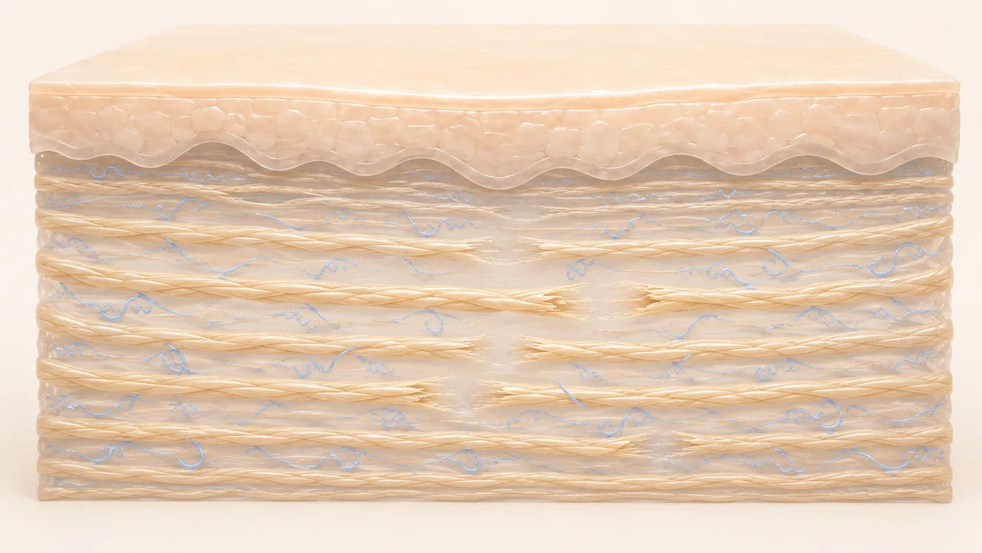 Illustration of the same skin cross-section with collagen fibres pulled into flat parallel bands, gaps between them and several broken fibre ends